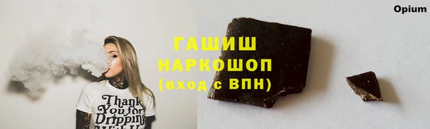 гидра Пестово