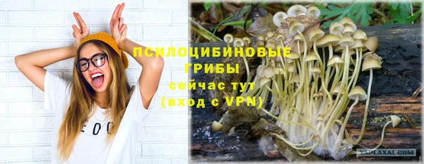 jwh Алзамай