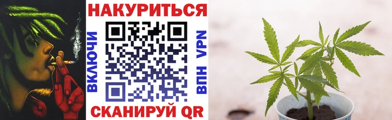 где можно купить   Кола  Бошки марихуана сатива 